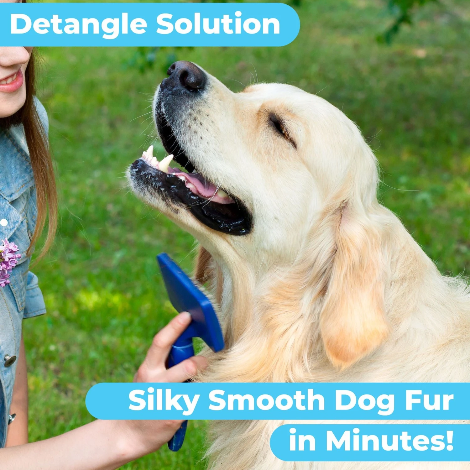 Pawtitas Organic Eucalyptus & Spearmint Oatmeal Dog Shampoo & Conditioner 6 Pawtitas Organic Eucalyptus & Spearmint Oatmeal Dog Shampoo & Conditioner - Image 6