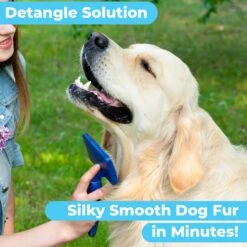 Pawtitas Organic Lavender & Chamomile Oatmeal Dog Shampoo & Conditioner 14 Pawtitas Organic Lavender & Chamomile Oatmeal Dog Shampoo & Conditioner -Pet Wellness 173805 PT5. AC SS1800 V1682099799