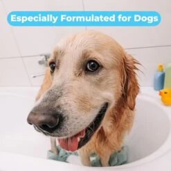 Pawtitas Organic Lavender & Chamomile Oatmeal Dog Shampoo & Conditioner 15 Pawtitas Organic Lavender & Chamomile Oatmeal Dog Shampoo & Conditioner -Pet Wellness 173805 PT6. AC SS1800 V1682101403