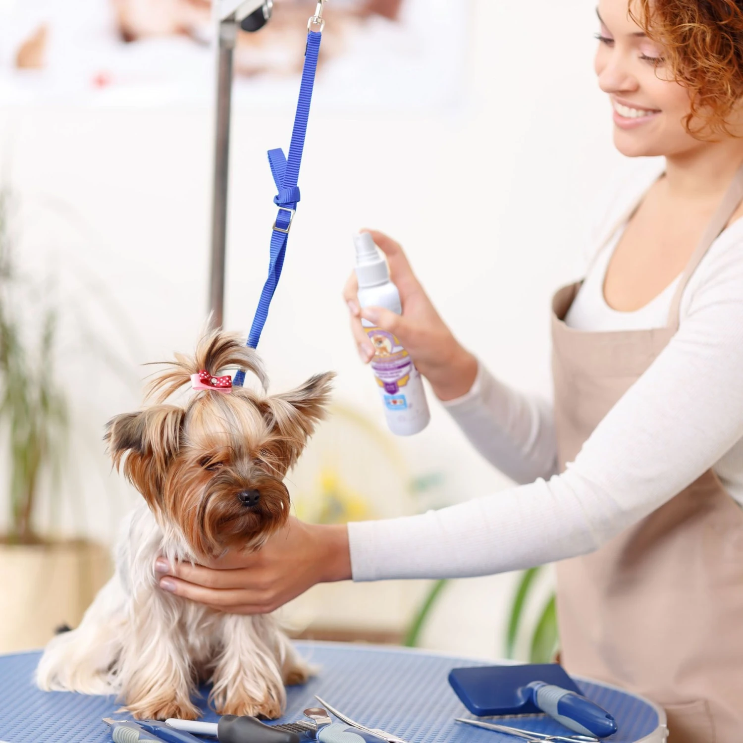 Pawtitas Organic Lavender & Chamomile Dog Deodorant 2 Pawtitas Organic Lavender & Chamomile Dog Deodorant - Image 2