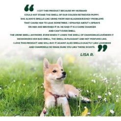 Pawtitas Organic Lavender & Chamomile Dog Deodorant 15 Pawtitas Organic Lavender & Chamomile Dog Deodorant -Pet Wellness 173811 PT7. AC SS1800 V1660706026