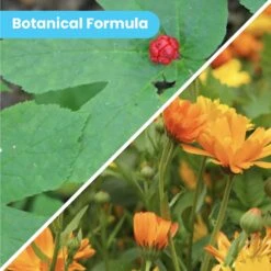 Pawtitas Organic Hypoallergenic Itch Soother Dog Moisturizer -Pet Wellness 173816 PT3. AC SS1800 V1604531504