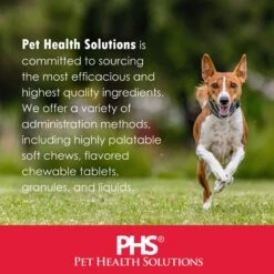 ChloraSeb Antiseptic Dog Shampoo -Pet Wellness 175562 PT7. AC SS1800 V1677707688