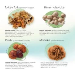 Mycogen Immune Supplement Soft Chew For Dogs -Pet Wellness 175591 PT3. AC SS1800 V1680193162