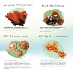 Mycogen Immune Supplement Soft Chew For Dogs -Pet Wellness 175591 PT4. AC SS1800 V1680188172