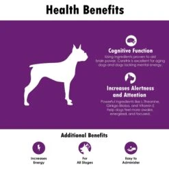Ceretrix Soft Chew Brain & Nervous System Supplement For Large Breed Dogs -Pet Wellness 175593 PT2. AC SS1800 V1680613705
