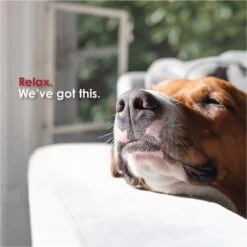 Mela-Vet Soft Chew Skin & Coat Supplement For Dogs & Cats -Pet Wellness 175597 PT6. AC SS1800 V1701882200