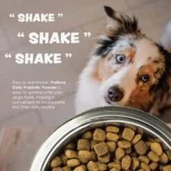 Proflora Powder Digestive Supplement For Dogs 12 Proflora Powder Digestive Supplement For Dogs -Pet Wellness 175611 PT3. AC SS1800 V1686941699