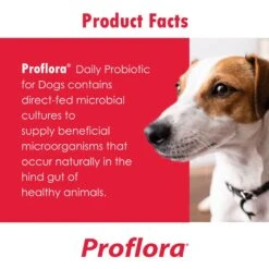 Proflora Chicken Flavored Soft Chew Digestive Supplement For Dogs -Pet Wellness 175613 PT3. AC SS1800 V1678380994