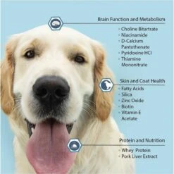 Vita-Tabs Liver Flavored Multivitamin For Dogs 12 Vita-Tabs Liver Flavored Multivitamin For Dogs -Pet Wellness 175616 PT3. AC SS1800 V1679690770