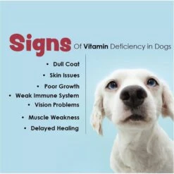 Vita-Tabs Liver Flavored Multivitamin For Dogs 14 Vita-Tabs Liver Flavored Multivitamin For Dogs -Pet Wellness 175616 PT5. AC SS1800 V1679690227