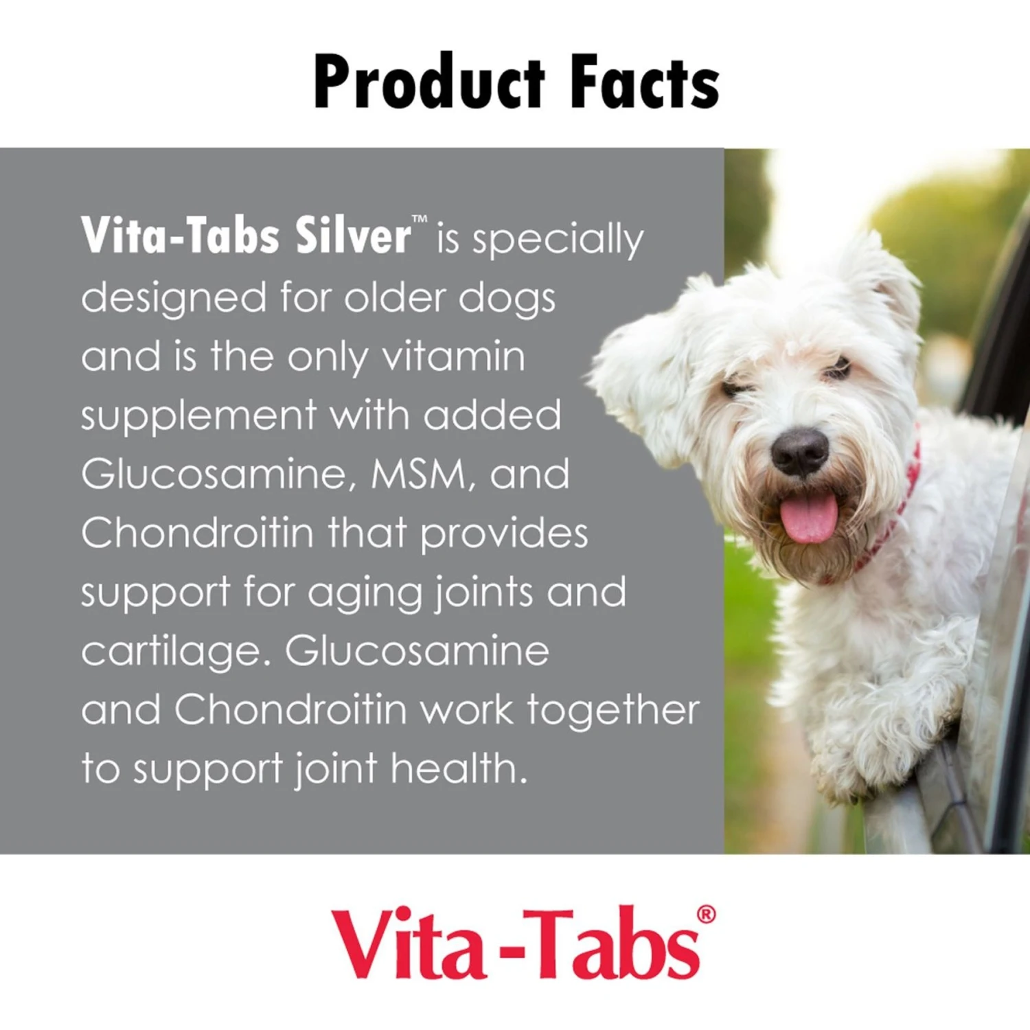 Vita-Tabs Silver Liver Flavored Multivitamin For Senior Dogs 6 Vita-Tabs Silver Liver Flavored Multivitamin For Senior Dogs - Image 6