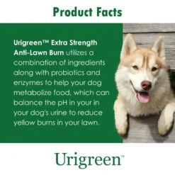 Urigreen ES Liver Flavored Tablet Lawn Protection Supplement For Dogs -Pet Wellness 175622 PT7. AC SS1800 V1679952527