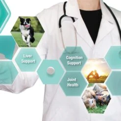 Denestra SAMe 200mg Tablet Liver & Joint Supplement For Dogs -Pet Wellness 175634 PT4. AC SS1800 V1686074101