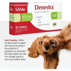 Denestra SAMe 400mg Tablet Liver & Joint Supplement For Dogs -Pet Wellness 175636 PT2. AC SS1800 V1686073056