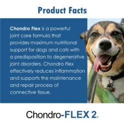 Chondro-FLEX II Chewable Tablet Joint Supplement For Dogs & Cats -Pet Wellness 175640 PT3. AC SS1800 V1680111816