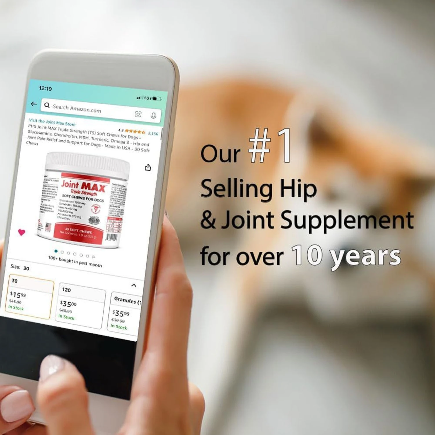 Joint MAX Triple Strength Soft Chew Joint Supplement For Dogs 3 Joint MAX Triple Strength Soft Chew Joint Supplement For Dogs - Image 3