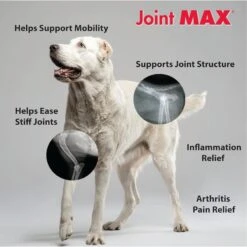 Joint MAX Triple Strength Soft Chew Joint Supplement For Dogs 12 Joint MAX Triple Strength Soft Chew Joint Supplement For Dogs -Pet Wellness 175644 PT3. AC SS1800 V1680613732