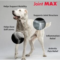 Ora-Clens Joint Max Triple Strength Hypo-Allergenic Dog Supplement -Pet Wellness 175656 PT5. AC SS1800 V1680619612