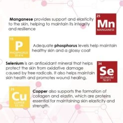 Derm-Tabs Extra Strength Liver Flavored Chewable Tablet Skin & Coat Supplement For Dogs -Pet Wellness 175664 PT4. AC SS1800 V1680029444