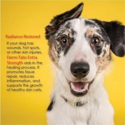 Derm-Tabs Extra Strength Liver Flavored Chewable Tablet Skin & Coat Supplement For Dogs -Pet Wellness 175664 PT5. AC SS1800 V1680029438