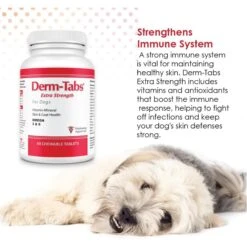 Derm-Tabs Extra Strength Liver Flavored Chewable Tablet Skin & Coat Supplement For Dogs -Pet Wellness 175664 PT6. AC SS1800 V1680099821