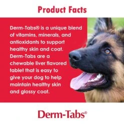 Derm-Tabs Regular Strength Liver Flavored Chewable Tablet Skin & Coat Supplement For Dogs -Pet Wellness 175666 PT2. AC SS1800 V1680028811