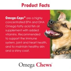 Ora-Clens Omega Chews Medium & Large Breed Dog Supplement -Pet Wellness 175682 PT3. AC SS1800 V1679690292