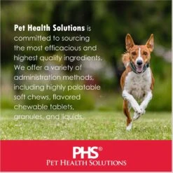 Ora-Clens Omega Chews Medium & Large Breed Dog Supplement -Pet Wellness 175682 PT6. AC SS1800 V1679927374