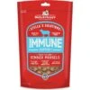 Stella & Chewy's Stella's Solutions Immune Boost Freeze-Dried Raw Grass-Fed Lamb Dinner Morsels Dog Food