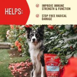 Stella & Chewy's Stella's Solutions Immune Boost Freeze-Dried Raw Grass-Fed Lamb Dinner Morsels Dog Food -Pet Wellness 176517 PT3. AC SS1800 V1680640378