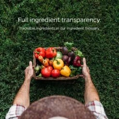 Pet Parents Probiotic SoftSupps Prebiotic & Probiotic Dog Supplement, 90 Count -Pet Wellness 178454 PT6. AC SS1800 V1674835142