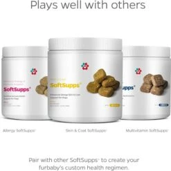Pet Parents Skin & Coat SoftSupps Omega Skin & Coat Dog Supplement, 90 Count -Pet Wellness 178456 PT8. AC SS1800 V1674762943