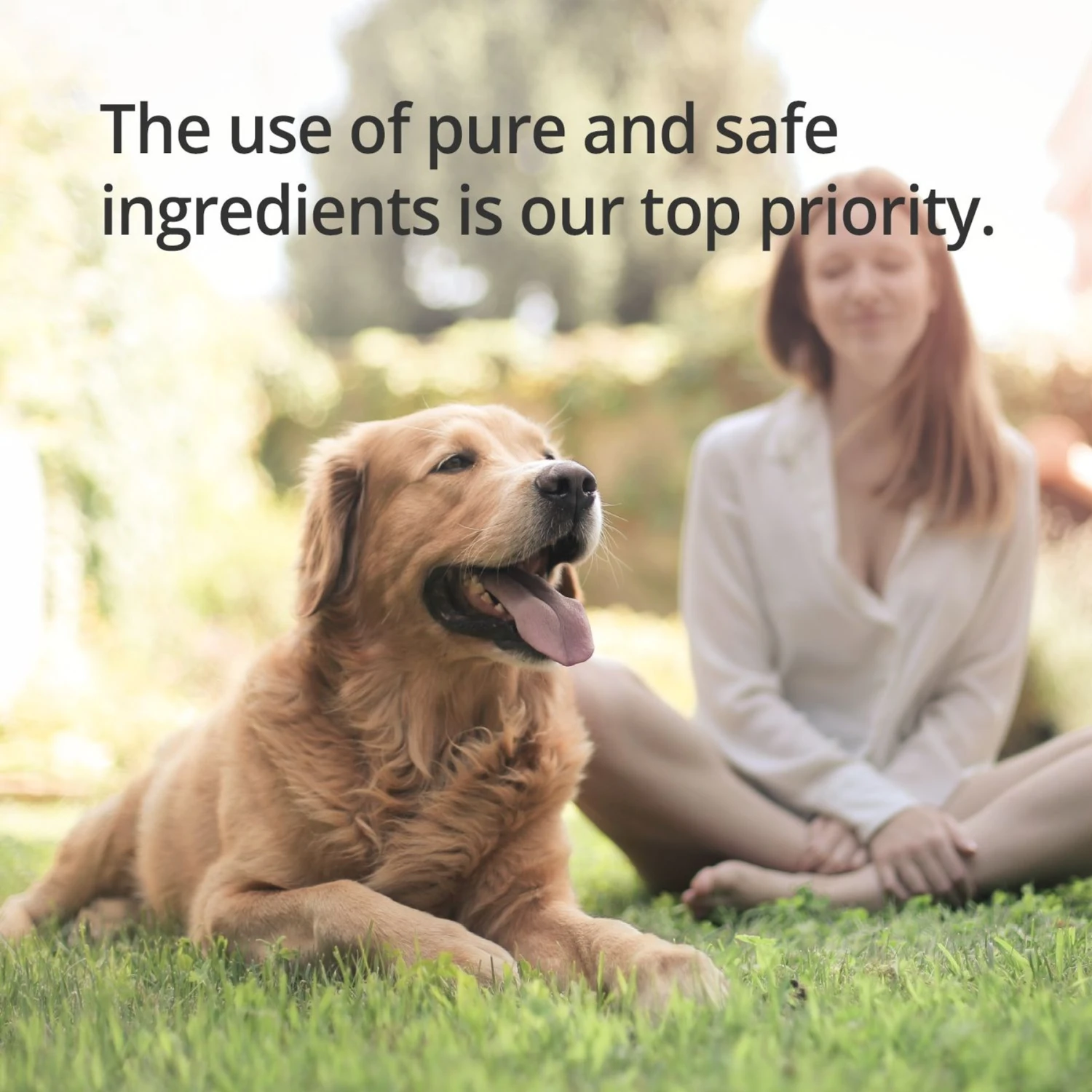 Hyponic De-Skunk Pet Mist 5 Hyponic De-Skunk Pet Mist - Image 5