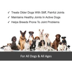 Finest For Pets Rejenease All Natural Hip & Joint Dog Supplement -Pet Wellness 179093 PT3. AC SS1800 V1612829496