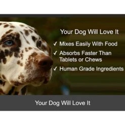 Finest For Pets Rejenease All Natural Hip & Joint Dog Supplement -Pet Wellness 179093 PT5. AC SS1800 V1612827997