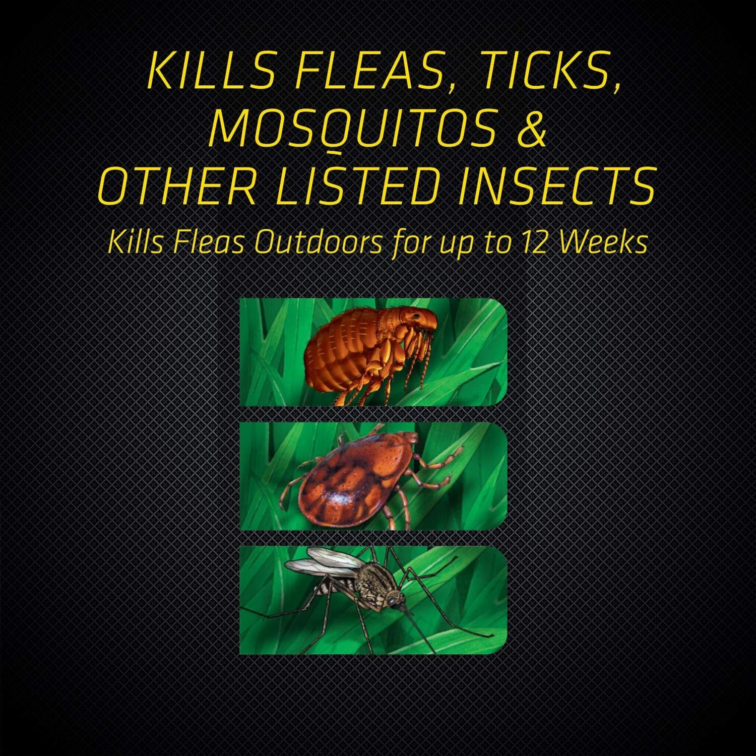 Black Flag Flea & Tick Killer Concentrate Yard Treatment 5 Black Flag Flea & Tick Killer Concentrate Yard Treatment - Image 5