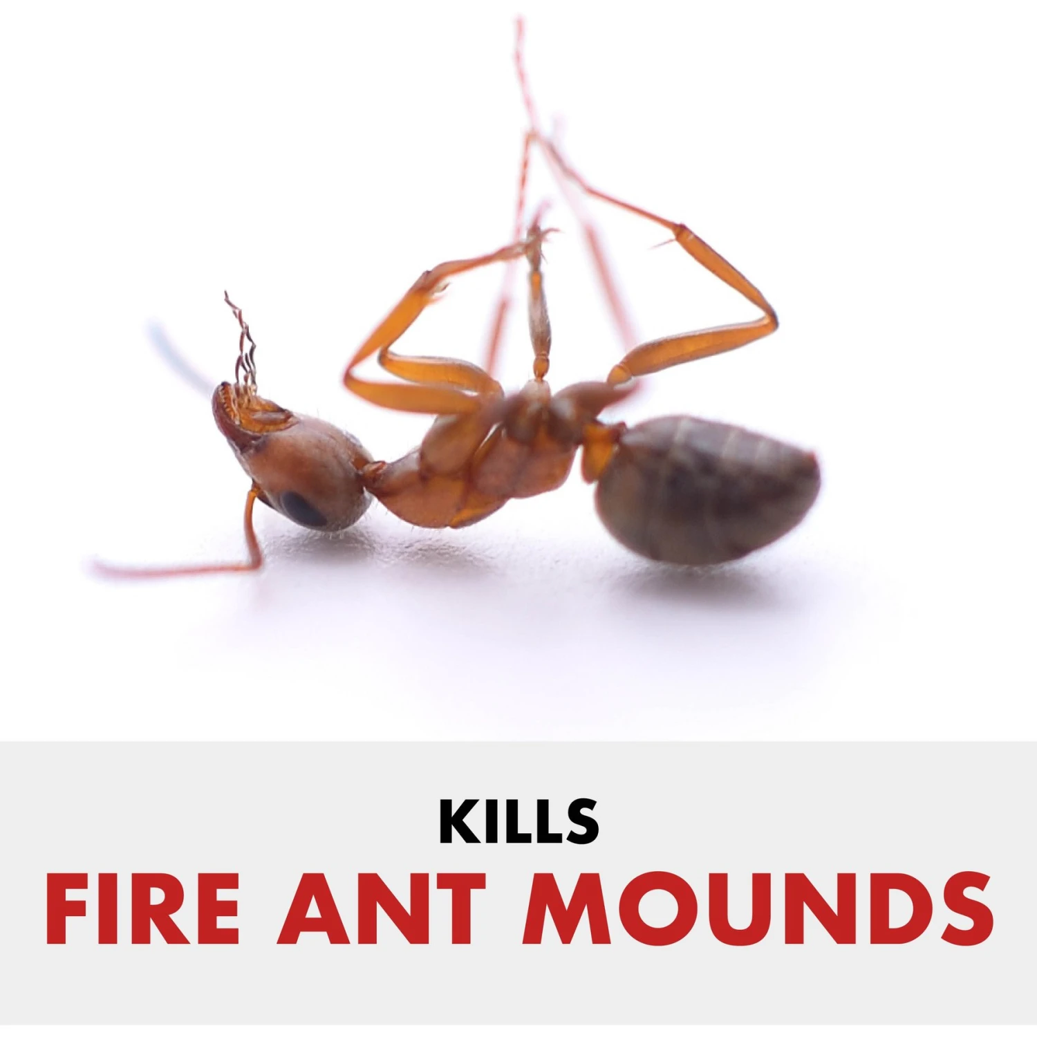 Spectracide Fire Ant Shield Mound Destroyer Granules 3 Spectracide Fire Ant Shield Mound Destroyer Granules - Image 3