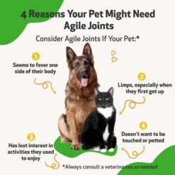 Pet Wellbeing Agile Joints Bacon Flavored Liquid Joint Supplement For Dogs & Cats -Pet Wellness 180317 PT2. AC SS1800 V1696886309