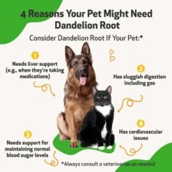 Pet Wellbeing Dandelion Root Bacon Flavored Liquid Digestive & Liver Supplement For Cats & Dogs 11 Pet Wellbeing Dandelion Root Bacon Flavored Liquid Digestive & Liver Supplement For Cats & Dogs -Pet Wellness 180328 PT2. AC SS1800 V1701363737