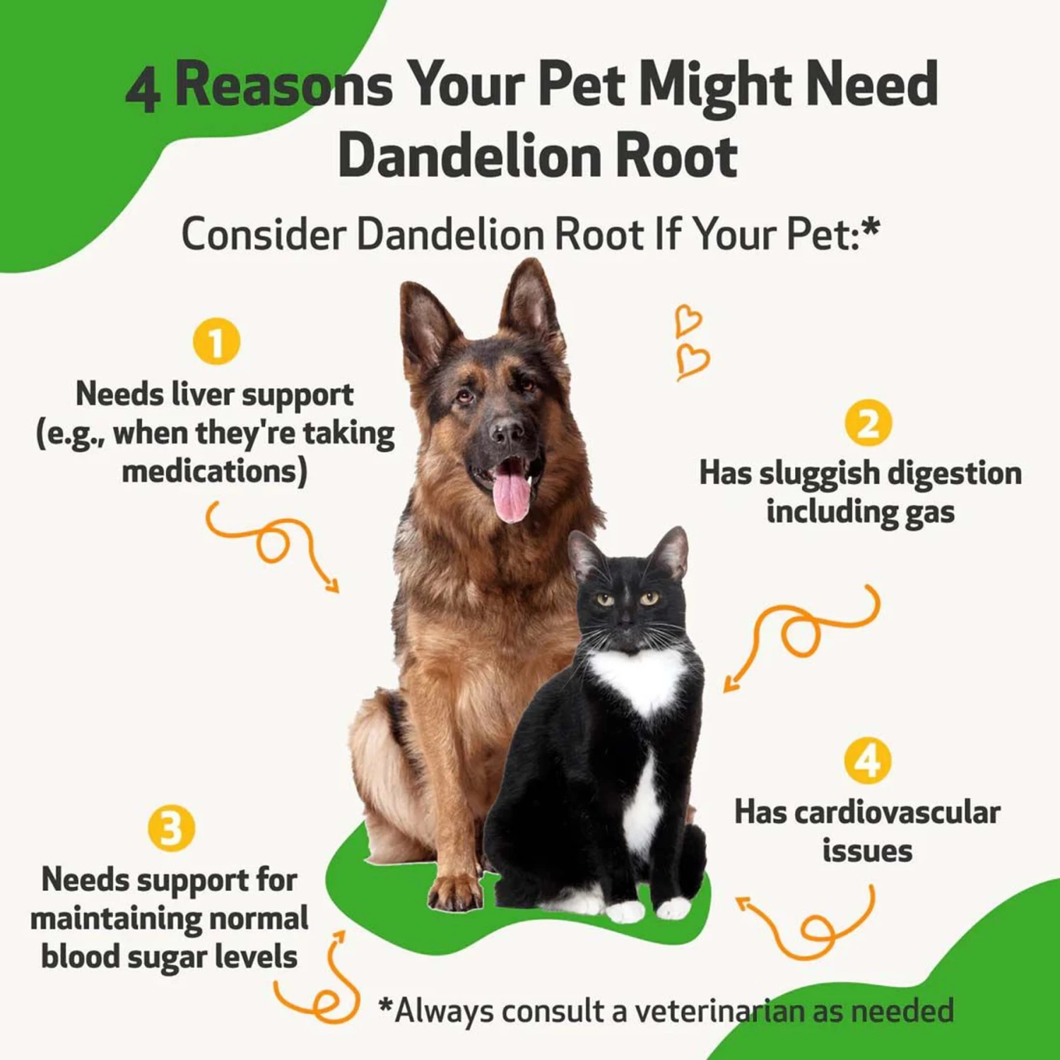 Pet Wellbeing Dandelion Root Bacon Flavored Liquid Digestive & Liver Supplement For Cats & Dogs 3 Pet Wellbeing Dandelion Root Bacon Flavored Liquid Digestive & Liver Supplement For Cats & Dogs - Image 3