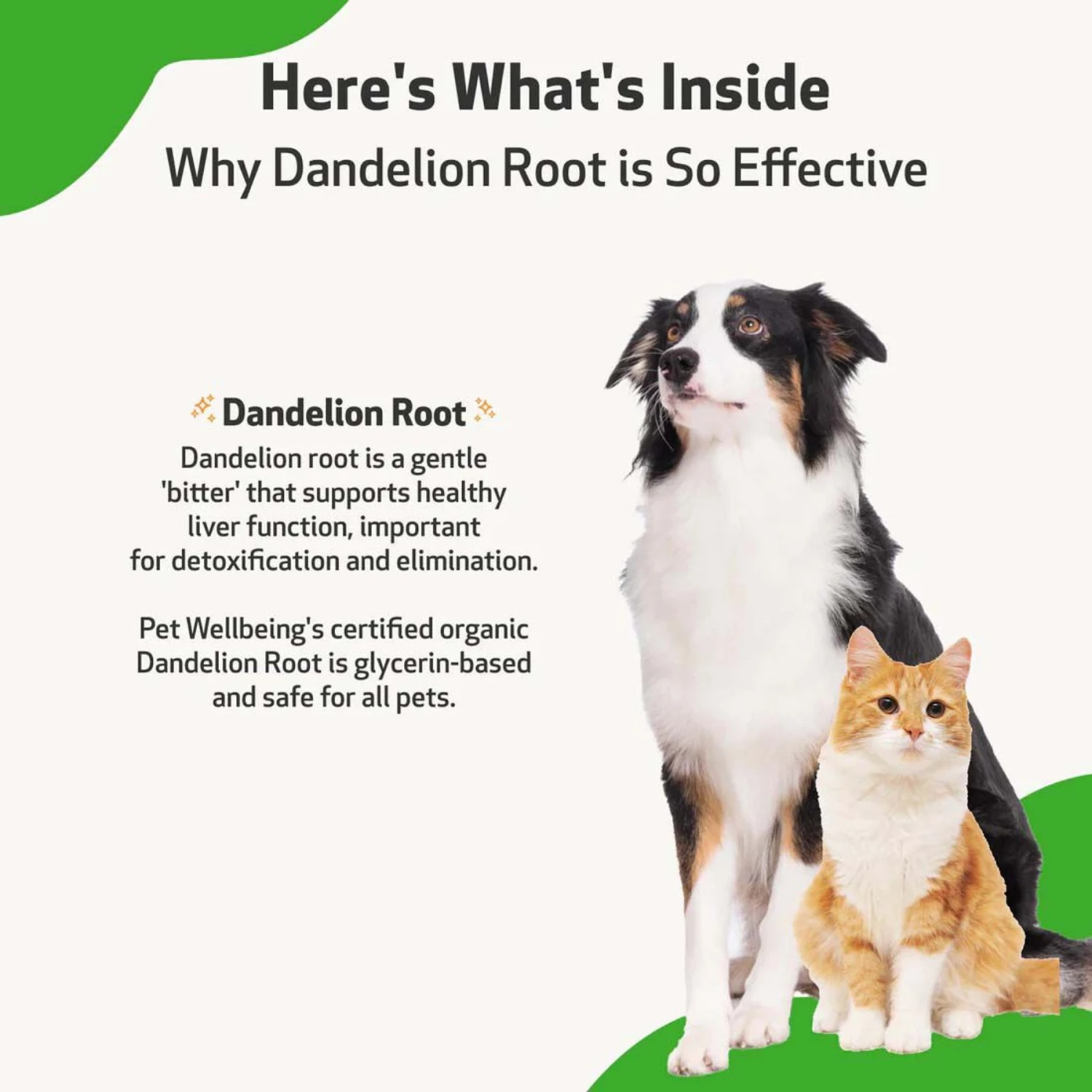 Pet Wellbeing Dandelion Root Bacon Flavored Liquid Digestive & Liver Supplement For Cats & Dogs 6 Pet Wellbeing Dandelion Root Bacon Flavored Liquid Digestive & Liver Supplement For Cats & Dogs - Image 6