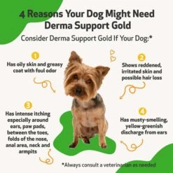 Pet Wellbeing Derma Support GOLD Liquid Skin & Coat Supplement For Dogs 11 Pet Wellbeing Derma Support GOLD Liquid Skin & Coat Supplement For Dogs -Pet Wellness 180330 PT2. AC SS1800 V1701363736