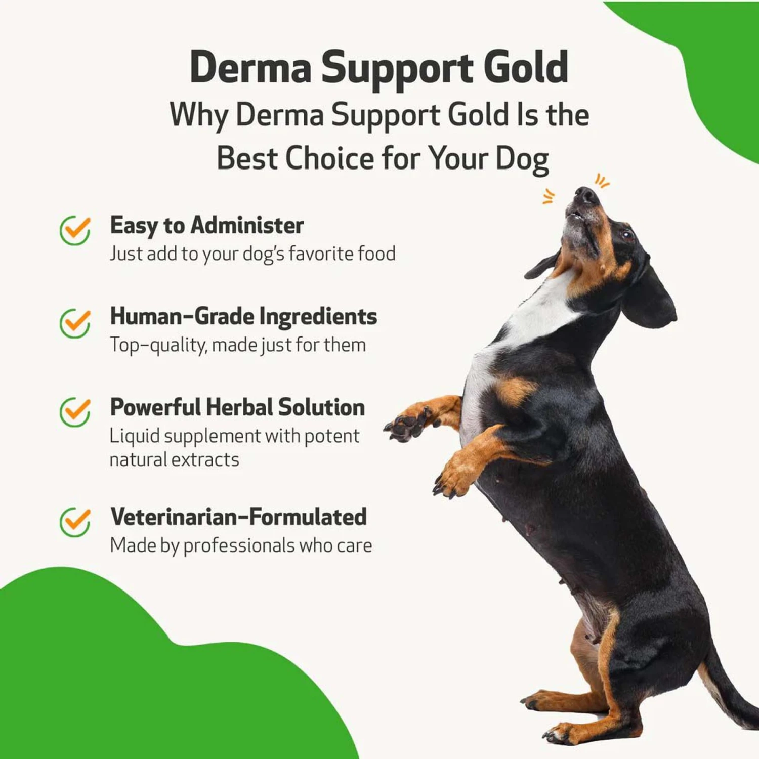 Pet Wellbeing Derma Support GOLD Liquid Skin & Coat Supplement For Dogs 5 Pet Wellbeing Derma Support GOLD Liquid Skin & Coat Supplement For Dogs - Image 5
