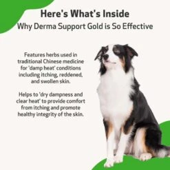 Pet Wellbeing Derma Support GOLD Liquid Skin & Coat Supplement For Dogs 14 Pet Wellbeing Derma Support GOLD Liquid Skin & Coat Supplement For Dogs -Pet Wellness 180330 PT5. AC SS1800 V1701363735