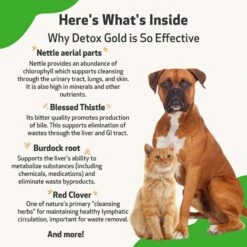 Pet Wellbeing Detox GOLD Bacon Flavored Liquid Immune Supplement For Cats & Dogs -Pet Wellness 180332 PT5. AC SS1800 V1697753360