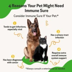 Pet Wellbeing Immune SURE Bacon Flavored Liquid Immune Supplement For Dogs & Cats -Pet Wellness 180345 PT2. AC SS1800 V1697582920