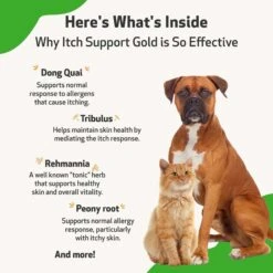 Pet Wellbeing Itch Support GOLD Liquid Allergy Supplement For Cats & Dogs -Pet Wellness 180347 PT5. AC SS1800 V1697760732