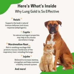 Pet Wellbeing Lung GOLD Bacon Flavored Liquid Respiratory Supplement For Dogs & Cats -Pet Wellness 180352 PT5. AC SS1800 V1695306527