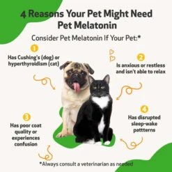 Pet Wellbeing Pet Melatonin Bacon Flavored Liquid Calming Supplement For Dogs -Pet Wellness 180355 PT2. AC SS1800 V1693324848